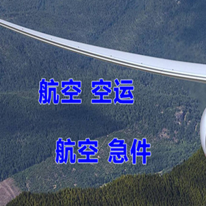 三家子航空托运快递-选东方航空和上海航空