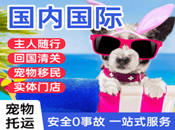 三家子航空托运国际宠物托运 【国